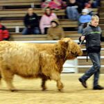 MN. JR. Spring Classic in Austin, MN - 1
