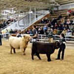 MN. JR. Spring Classic in Austin, MN - 2