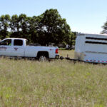 2012-midwest-cow-camp-005