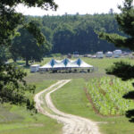2012-midwest-cow-camp-010-copy