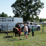 2012-midwest-cow-camp-012