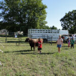 2012-midwest-cow-camp-013