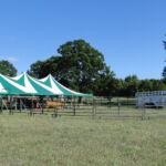 2012-midwest-cow-camp-014