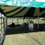 2012-midwest-cow-camp-015