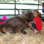 2012-midwest-cow-camp-019