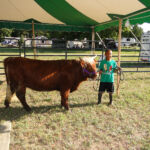 2012-midwest-cow-camp-020