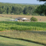 2012-midwest-cow-camp-024