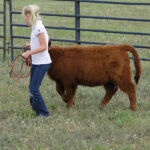 2012-midwest-cow-camp-040