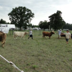 2012-midwest-cow-camp-081