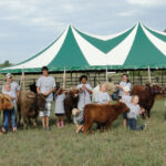 2012-midwest-cow-camp-084