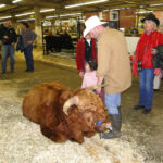 2012 Stock Show 3