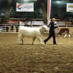 2012 Stock Show 45