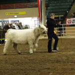 2012 Stock Show 50