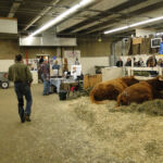 2012 Stock Show 86