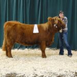 Kate Zander at the 2014 Boulder County Fair