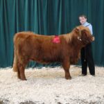Logan DeLuke at the 2014 Boulder County Fair