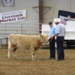 2014 Boulder County Fair & WY State Fair 020