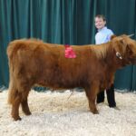 Logan DeLuke at the 2014 Boulder County Fair