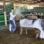 Eric DeLuke championing "the cause" at the costume contest at the 2014 Boulder County Fair
