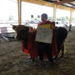 Logan DeLuke smashing the costume contest at 2014 Boulder County Fair