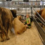 Gavin Holmes snuggles with Almosta Farm Rose at the 2014 Boulder County Fair