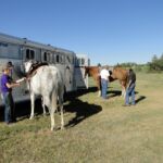 2014 Boulder County Fair & WY State Fair 057