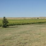 2014 Boulder County Fair & WY State Fair 058