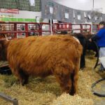 2014-NAILE-trip-003