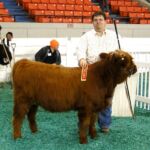 2014-NAILE-trip-010