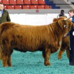 2014-NAILE-trip-012