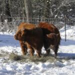 2014 NAILE trip 093