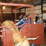 2014 Osceola Show & National Convention 106
