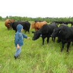 2014 Osceola Show & National Convention 121