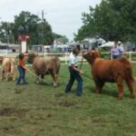 2014 WY State fair