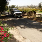 2014 calves & CA trip 059