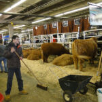2014-denver-stock-show-001
