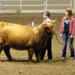 2014-denver-stock-show-020