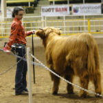 2014-denver-stock-show-047