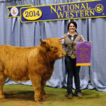 2014-denver-stock-show-050