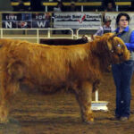 2014-denver-stock-show-091