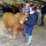 2014-denver-stock-show-134
