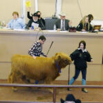 2014-denver-stock-show-138