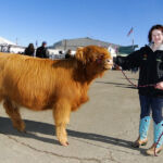 2014-denver-stock-show-141