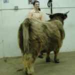 2015 NWSS Part 1 003