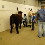 2015 NWSS Part 1 004