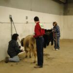 2015 NWSS Part 1 005