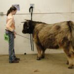 2015 NWSS Part 1 008