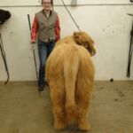 2015 NWSS Part 1 011