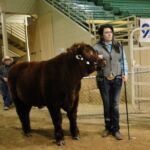 2015 NWSS Part 1 013