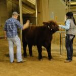 2015 NWSS Part 1 014